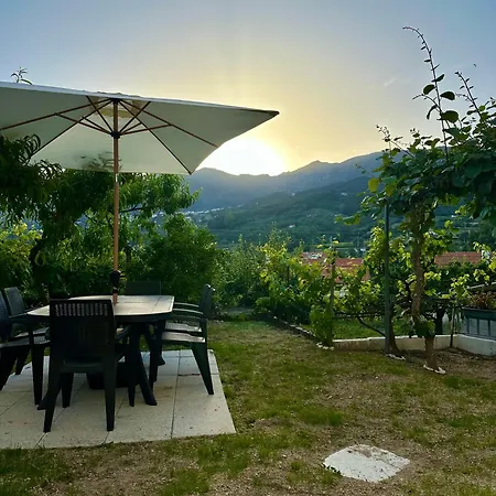 O Jardim Magico * Teixoso