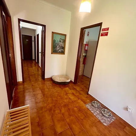 O Jardim Magico *