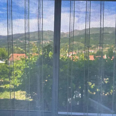 O Jardim Magico