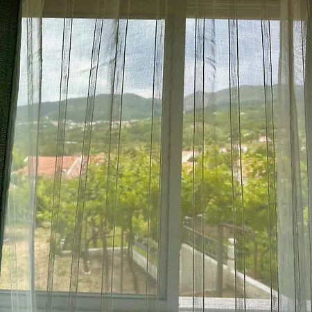 O Jardim Magico * Teixoso