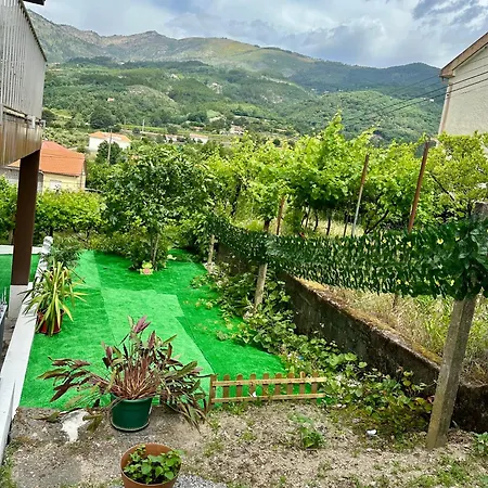 O Jardim Magico * Teixoso